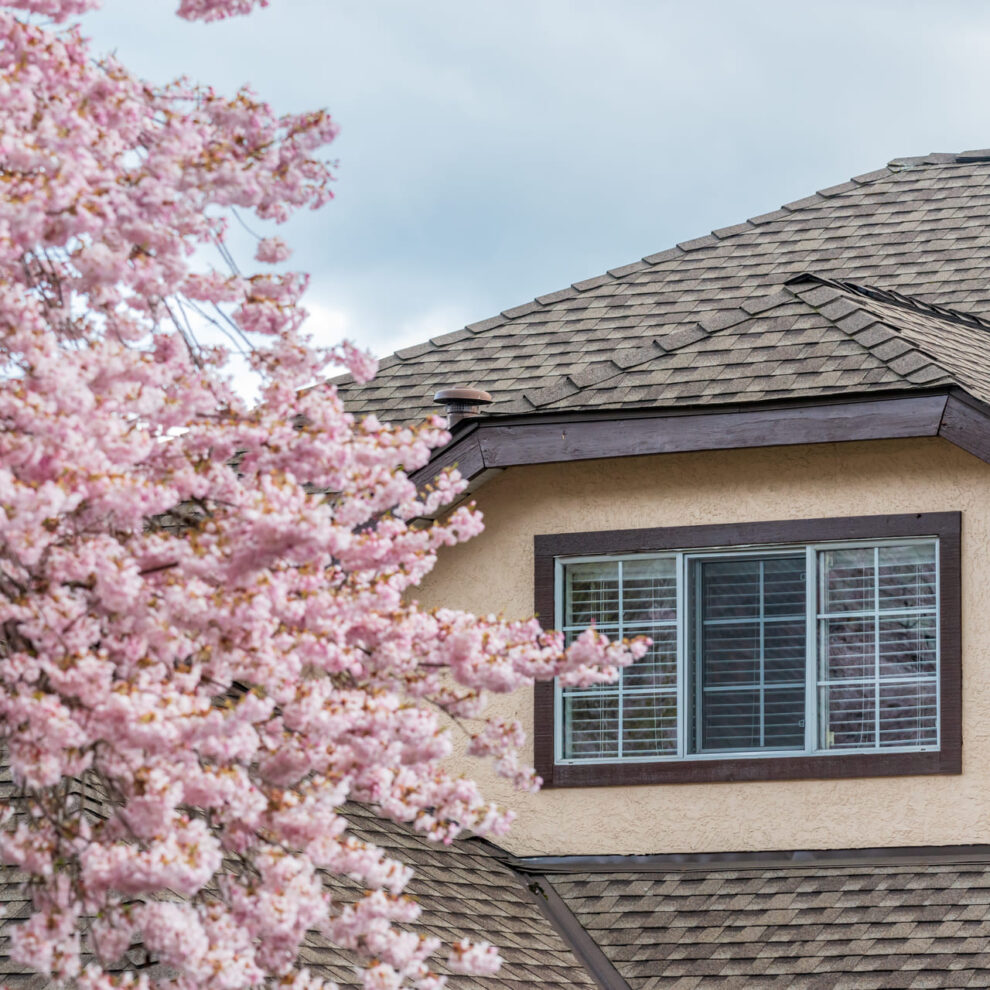 Spring roof inspection in Eau Claire WI Spring roof inspection in Eau Claire WI